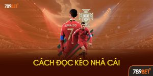 Cách đọc kèo nhà cái