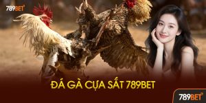 đá gà cựa sắt 789bet